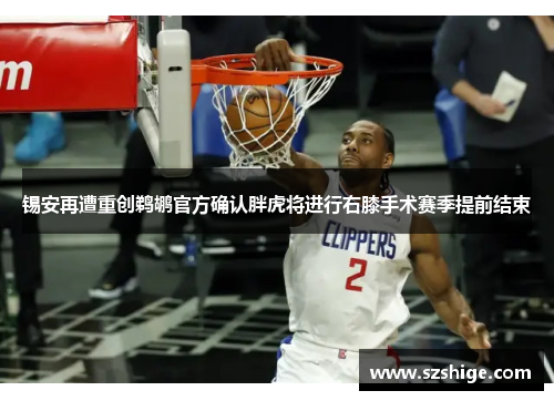 锡安再遭重创鹈鹕官方确认胖虎将进行右膝手术赛季提前结束 锡安再遭重创鹈鹕官方确认胖虎将进行右膝手术赛季提前结束